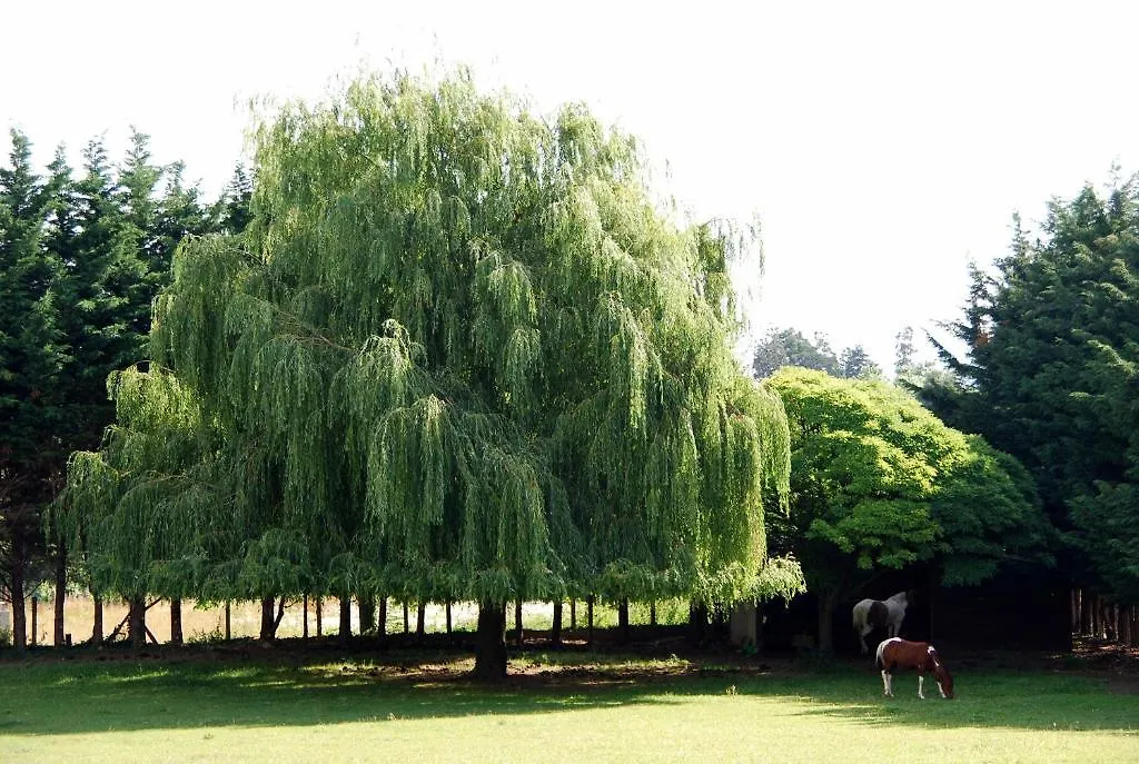 Le Clos Du Loup Hotel Saint-Alban-de-Roche Bed & Breakfast